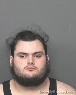 Mugshot of ADEN A TERRA booked in DeKalb County, Illinois on April 3, 2026