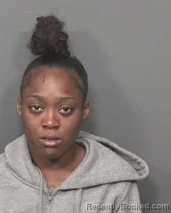 Mugshot of BRIANNA M THOMAS booked in DeKalb County, Illinois on August 2, 2026