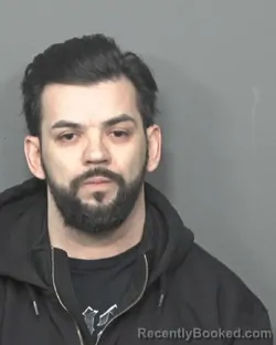 Mugshot of DANIEL N STENGLER booked in DeKalb County, Illinois on April 1, 2026