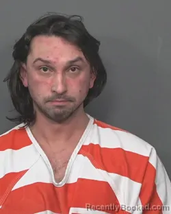 Mugshot of DAVID R VILLARREAL