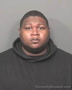 Mugshot of KAYLIS R COVENS