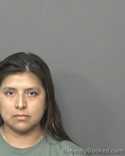 Mugshot of REINA REINA DOMINGUEZ-MARTINEZ booked in DeKalb County, Illinois on June 8, 2026