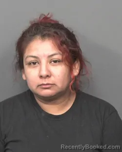 Mugshot of Xochilth Juarez-Vazquez booked in DeKalb County, Illinois on August 25, 2026