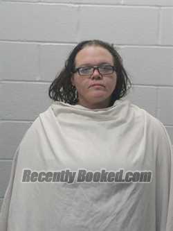 Mugshot of Danielle C Shindelar booked in Douglas County, Illinois on September 11, 2026