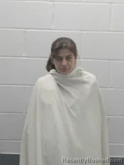 Mugshot of AMY N HAYNES