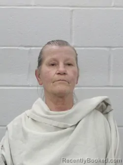 Mugshot of CHERYL A STRUMBORG