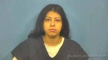 Mugshot of ANGELES DE-LARA booked in DuPage County, Illinois on April 6, 2026