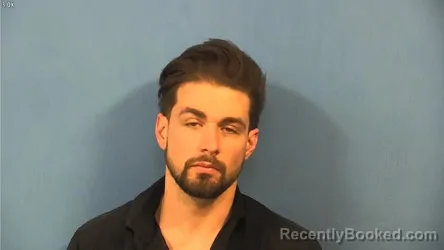 Mugshot of ALESSANDRO FANTONI