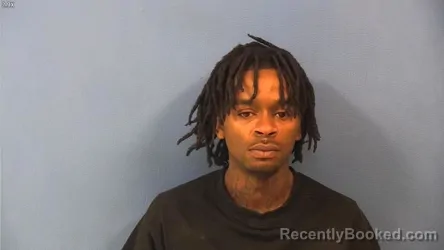 Booking photo from DuPage County, Illinois