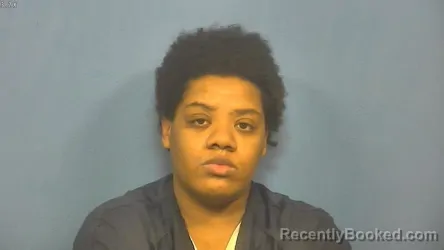 Mugshot of ASHLEY SYKES booked in DuPage County, Illinois on April 25, 2026