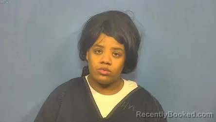 Mugshot of Ashley Sykes booked in DuPage County, Illinois on July 30, 2026