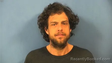 Mugshot of ANTHONY TALARICO booked in DuPage County, Illinois on April 8, 2026