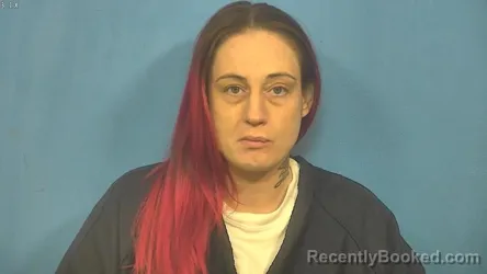 Mugshot of BRITTANY HYC booked in DuPage County, Illinois on April 19, 2026