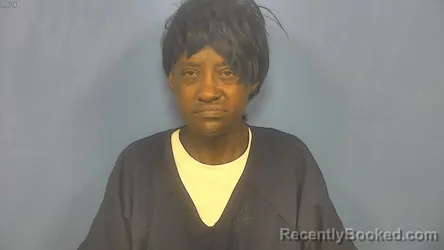 Mugshot of Brenda Lewis booked in DuPage County, Illinois on September 28, 2026
