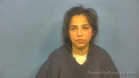 Mugshot of CHANEL ELY