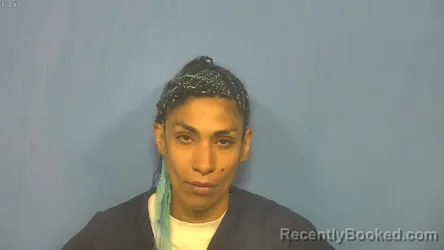 Mugshot of Cynthia Rios booked in DuPage County, Illinois on August 10, 2026