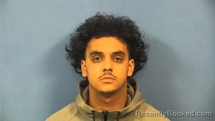 Booking photo from DuPage County, Illinois