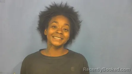 Mugshot of Destiny Brown booked in DuPage County, Illinois on July 20, 2026
