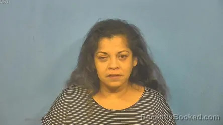 Mugshot of DARLENE RUIZ