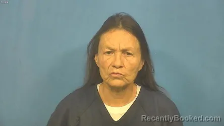 Mugshot of DONNA WEBER booked in DuPage County, Illinois on May 29, 2026