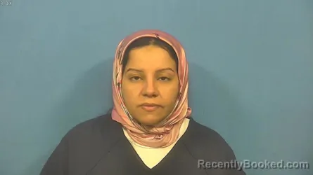 Mugshot of Heba Ali booked in DuPage County, Illinois on October 3, 2026