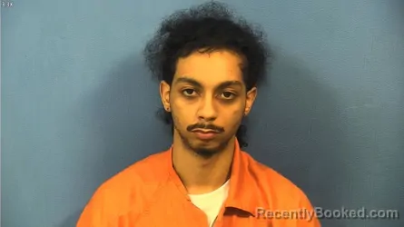 Mugshot of HIRAM STELLA