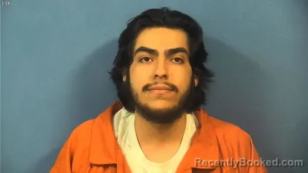 Mugshot of JAMES CASTRO booked in DuPage County, Illinois on April 7, 2026