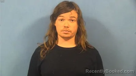 Mugshot of JOHN DALTON