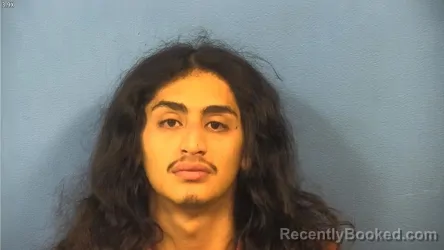 Booking photo from DuPage County, Illinois