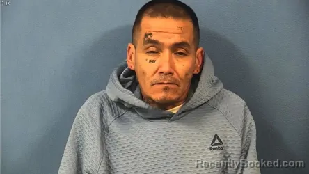 Booking photo from DuPage County, Illinois