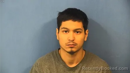 Mugshot of JOEL OCAMPO