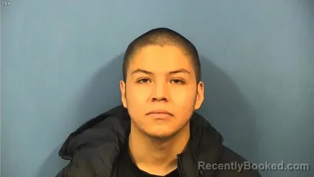Mugshot of JULIO PEREZ