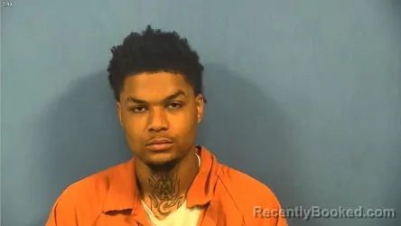 Booking photo from DuPage County, Illinois
