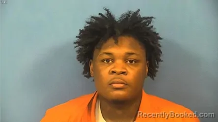 Booking photo from DuPage County, Illinois