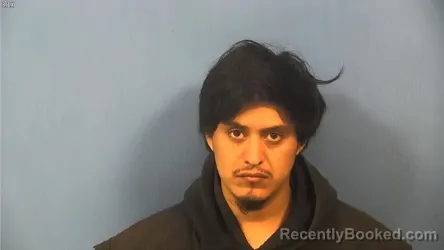 Mugshot of Luis Hernandez booked in DuPage County, Illinois on August 8, 2026