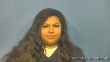 Mugshot of LAURA RAMIREZ AVALOS