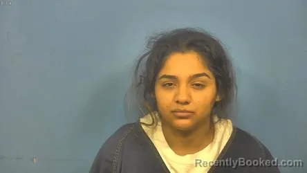 Mugshot of MARIA CODREANU booked in DuPage County, Illinois on April 21, 2026