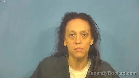 Mugshot of Nichole Babincsak booked in DuPage County, Illinois on August 20, 2026