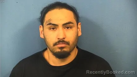 Mugshot of SERGIO PEREZ IZETA