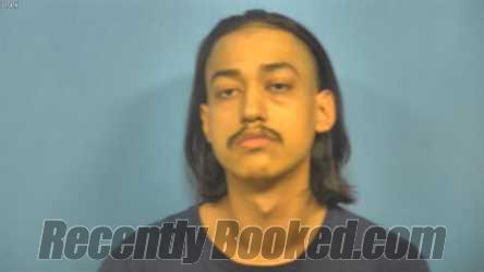 Booking photo from DuPage County, Illinois