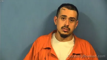 Mugshot of SERGIO VARGAS