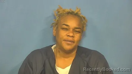 Mugshot of TRINERE JOHNSON booked in DuPage County, Illinois on April 10, 2026