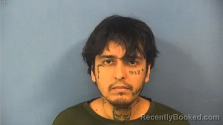 Mugshot of Victor Mejia booked in DuPage County, Illinois on August 14, 2026