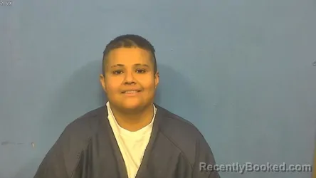 Booking photo from DuPage County, Illinois