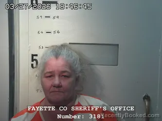 Mugshot of TRYNDA SUE STEINER booked in Fayette County, Illinois on March 27, 2026