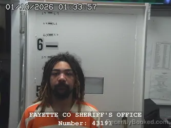 Mugshot of NATHAN L WALLACE