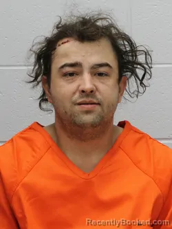 Mugshot of SALEM R HOLLIS