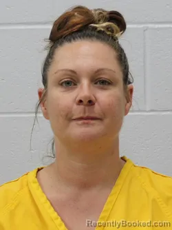Mugshot of BRIANNA NICOLE BALDWIN booked in Franklin County, Illinois on April 30, 2026