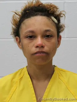 Mugshot of LINSEY LEE ALEXANDER booked in Franklin County, Illinois on April 2, 2026