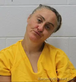 Mugshot of Ada L Williams booked in Franklin County, Illinois on August 24, 2026